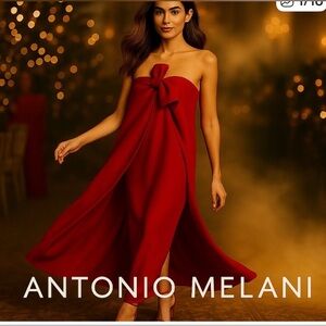 ANTONIO MELANI x Elizabeth Damrich Radzwill Crepe Red Strapless Maxi Dress